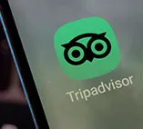 The Tripadvisor Mobile App Icon