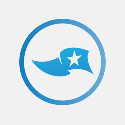 TopRatedLocal Reviews Service