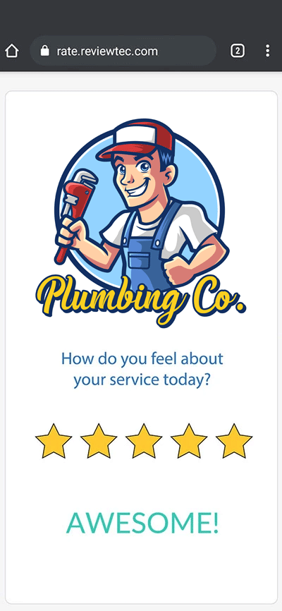 5 star business review