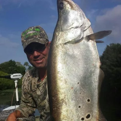 Bass And Exotics Fishing  Logo