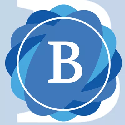 Blue Sky Heating and Air LLC Logo