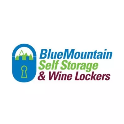 BlueMountain Storage Logo