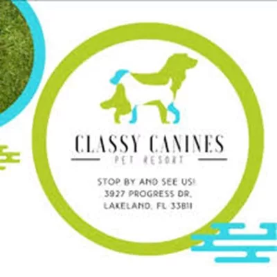 Classy Canines Pet Resort  Logo