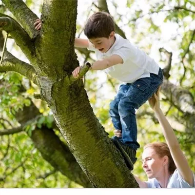 CR Tree Experts Logo