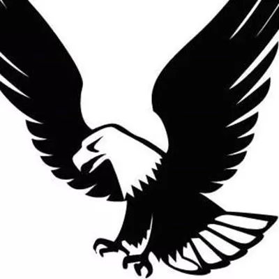 Eagle Security Systems, Inc. Logo