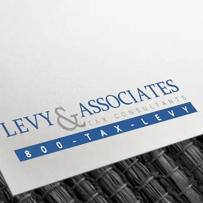 Levy & Associates Logo