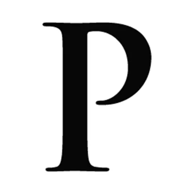 Pro Precision Painting Logo