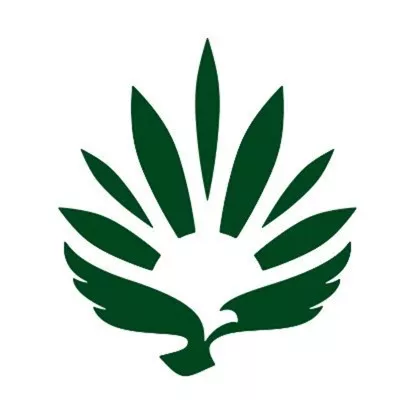 RISE Medical and Recreational Cannabis Dispensary Saint Paul logo