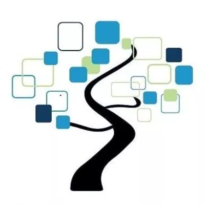 Specially Designed Education Services Logo