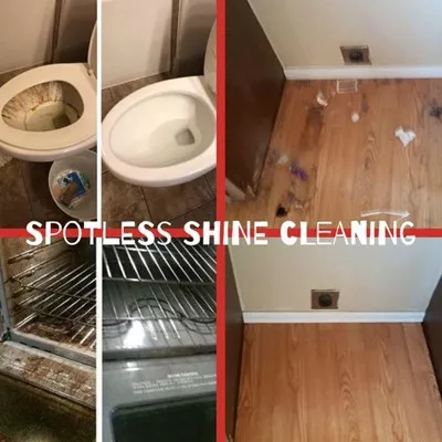 Spotless Shine Cleaning Logo