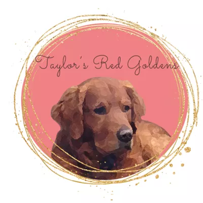 Taylor’s Red Goldens logo