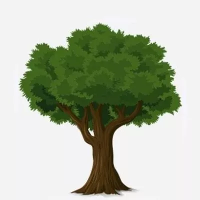 Tree Services Sacramento Logo