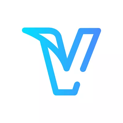Vizamerica Logo